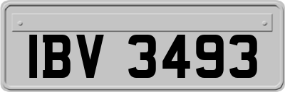 IBV3493