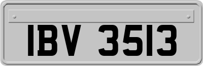 IBV3513