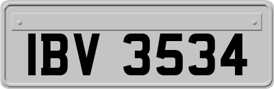 IBV3534