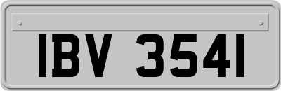 IBV3541