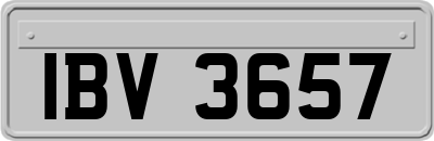 IBV3657
