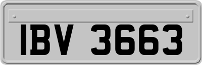 IBV3663