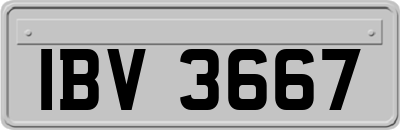 IBV3667