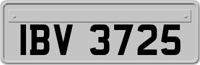 IBV3725