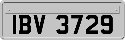 IBV3729
