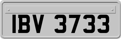 IBV3733