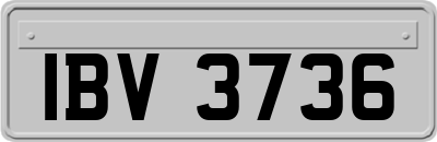IBV3736