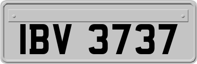 IBV3737