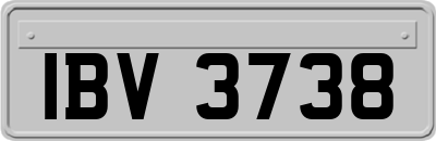 IBV3738