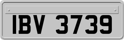 IBV3739
