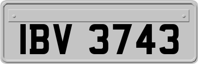 IBV3743
