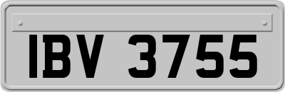 IBV3755