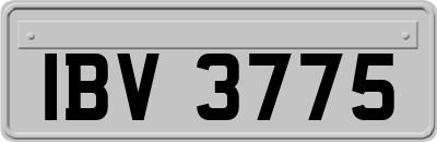 IBV3775