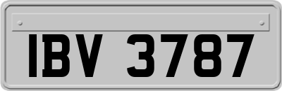 IBV3787