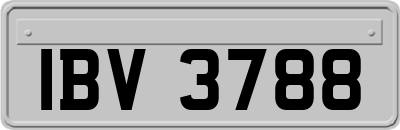 IBV3788