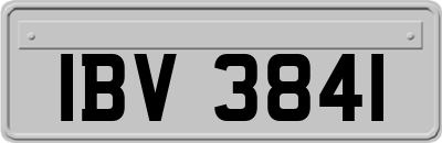 IBV3841