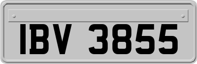 IBV3855