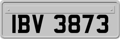 IBV3873