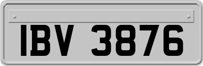 IBV3876