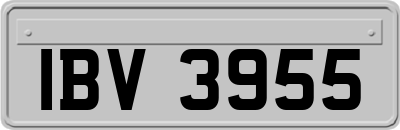 IBV3955