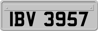 IBV3957