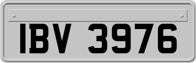 IBV3976