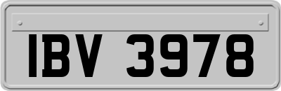 IBV3978