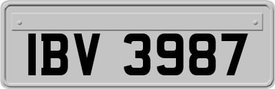 IBV3987