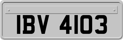 IBV4103