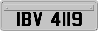IBV4119
