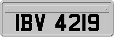 IBV4219