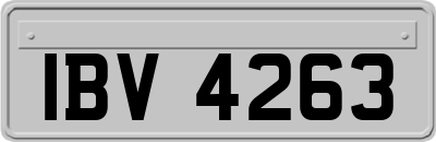 IBV4263