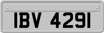 IBV4291
