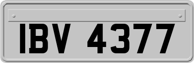 IBV4377