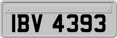 IBV4393
