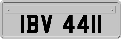 IBV4411