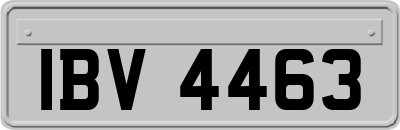 IBV4463