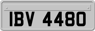 IBV4480