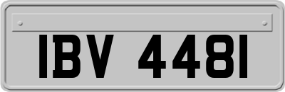 IBV4481