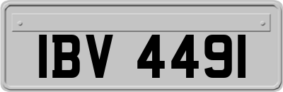 IBV4491