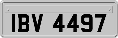 IBV4497
