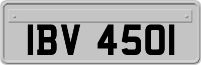 IBV4501