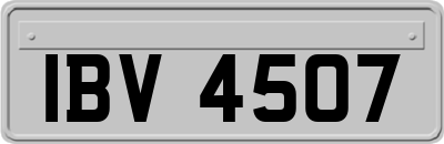 IBV4507