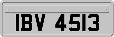 IBV4513