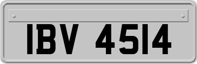 IBV4514