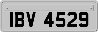 IBV4529