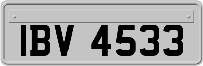IBV4533