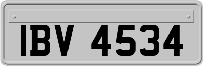 IBV4534