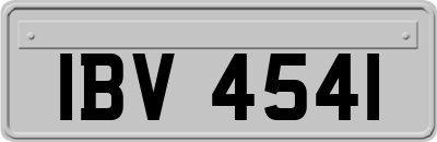 IBV4541