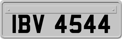 IBV4544